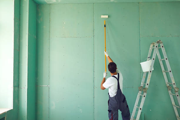Best Attic Mold Removal  in Kechi, KS