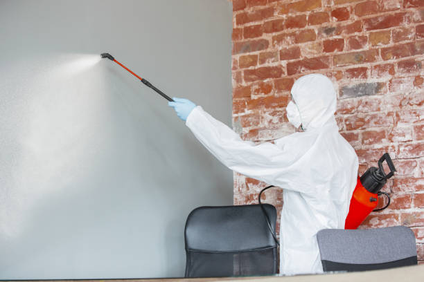 Best Indoor Air Quality Assessment  in Kechi, KS