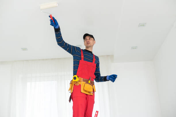 Best Residential Mold Inspection & Testing  in Kechi, KS