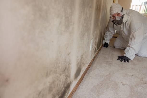 Best Industrial Mold Remediation  in Kechi, KS